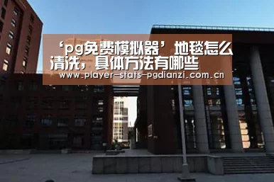 ‘pg免费模拟器’地毯怎么清洗，具体方法有哪些(图1)