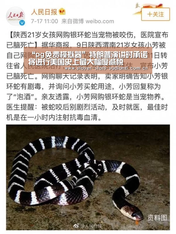 pg免费模拟器