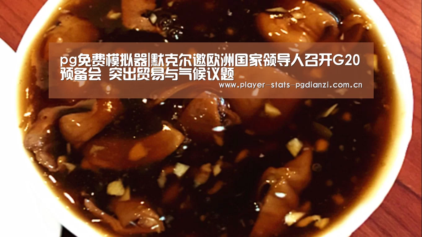 pg免费模拟器|默克尔邀欧洲国家领导人召开G20预备会 突出贸易与气候议题(图2) pg电子平台入口